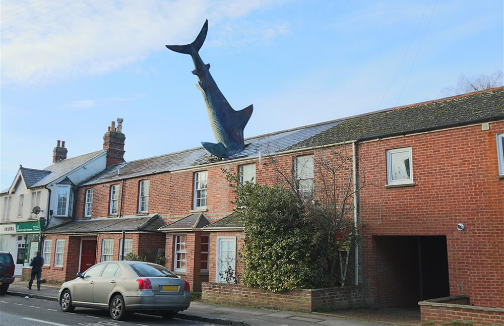 Shark-House