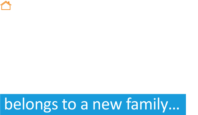 Beech Property Management