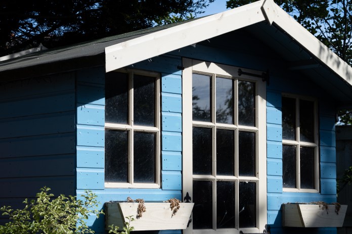 blue shed